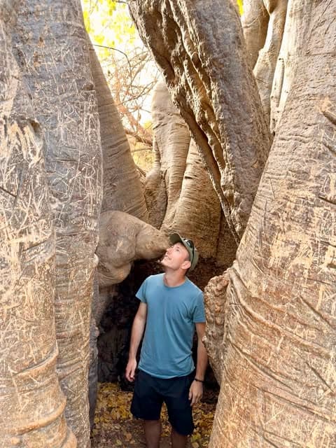 Emilio among towering tree trunks